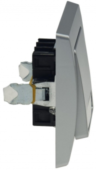 B-Ware Delphi silber Taster mit Namensschild X - Bild 2